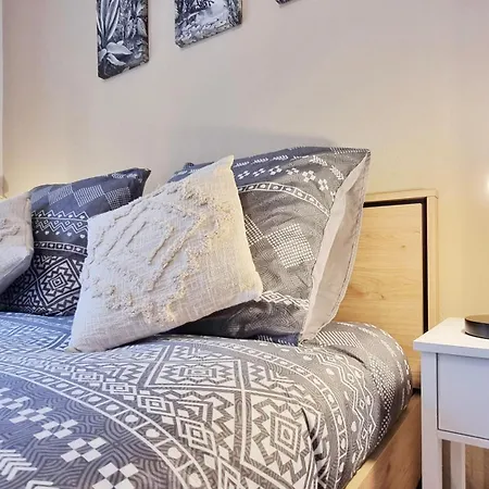 Le Petit Leon - - Fibre - Rbnb Apartamento Colmar