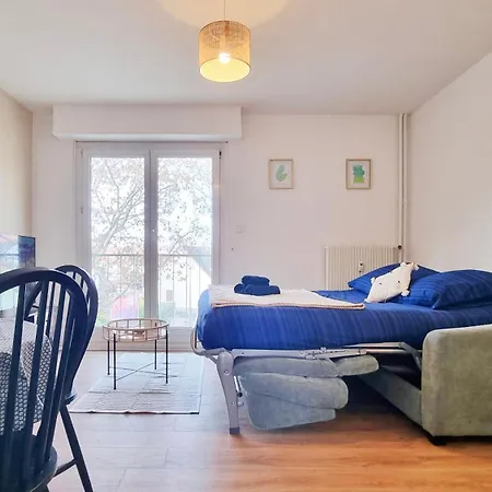 Le Petit Leon - - Fibre - Rbnb Apartman Colmar