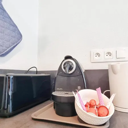 Apartman Le Petit Leon - - Fibre - Rbnb Colmar