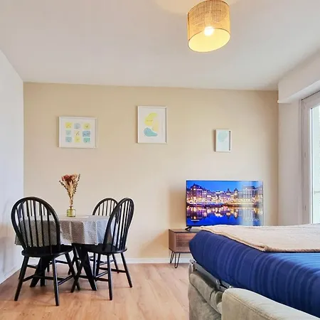 Apartment Le Petit Leon - - Fibre - Rbnb Colmar
