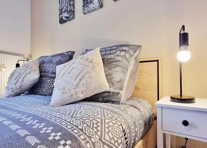 Le Petit Leon - - Fibre - Rbnb Apartamento Colmar