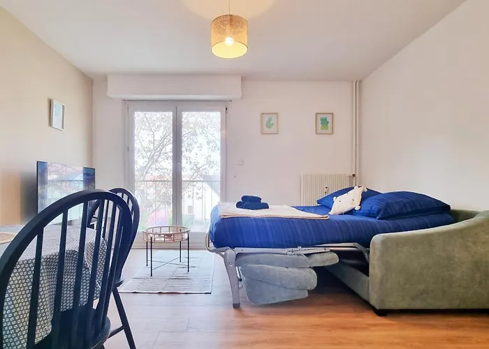 Le Petit Leon - - Fibre - Rbnb Apartamento Colmar