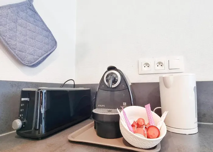 Apartamento Le Petit Leon - - Fibre - Rbnb Colmar