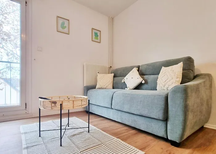 Le Petit Leon - - Fibre - Rbnb * Colmar