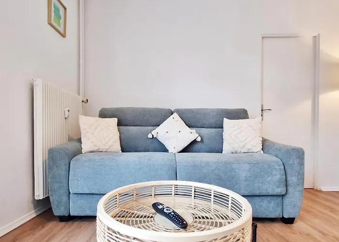 Le Petit Leon - - Fibre - Rbnb Colmar