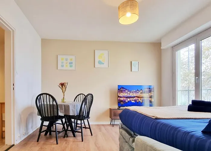 Apartamento Le Petit Leon - - Fibre - Rbnb Colmar