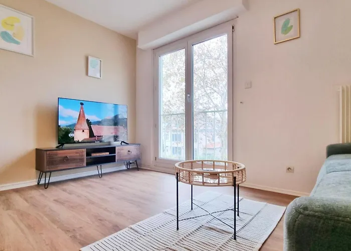 Le Petit Leon - - Fibre - Rbnb * Colmar